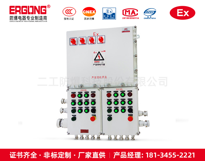 防爆配電箱（柜）-18