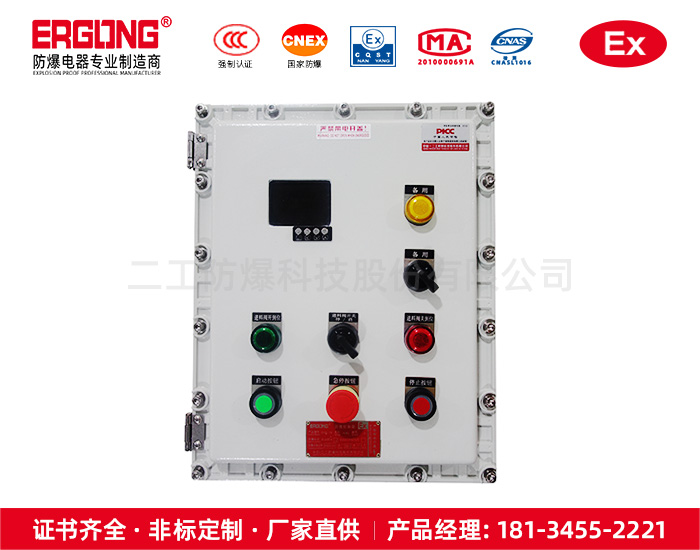 防爆儀表控制箱-14