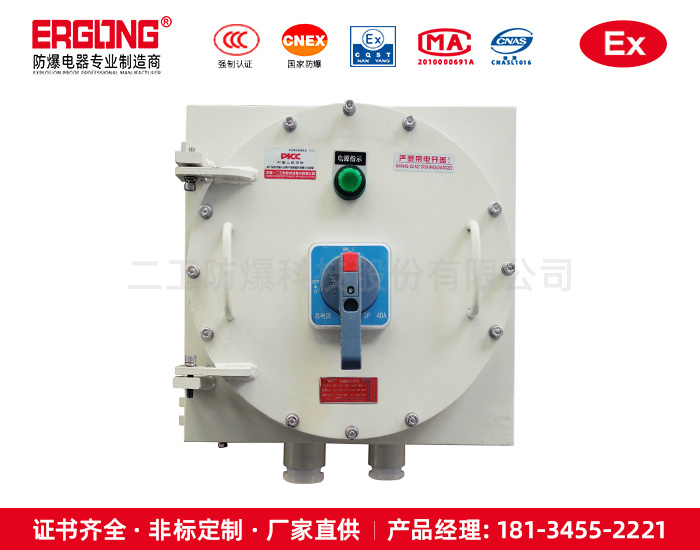 IIC級(jí)雙電源防爆控制箱