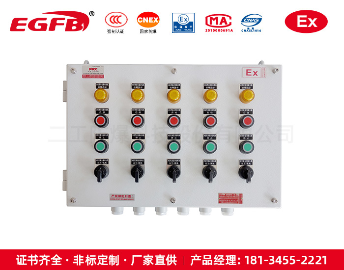 二工防爆工業(yè)粉塵防爆操作箱